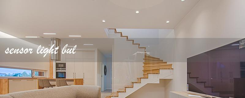 sensor light bulb（Outdoor Sensor Bulb）