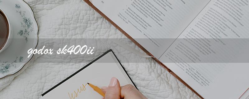 godox sk400ii（Godox SK400II Review）