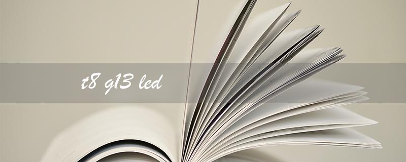 t8 g13 led（LED Tube for T8 G13）
