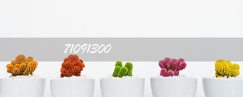 71091300: The Ultimate Guide to SEO Optimization for Higher Google Rankings