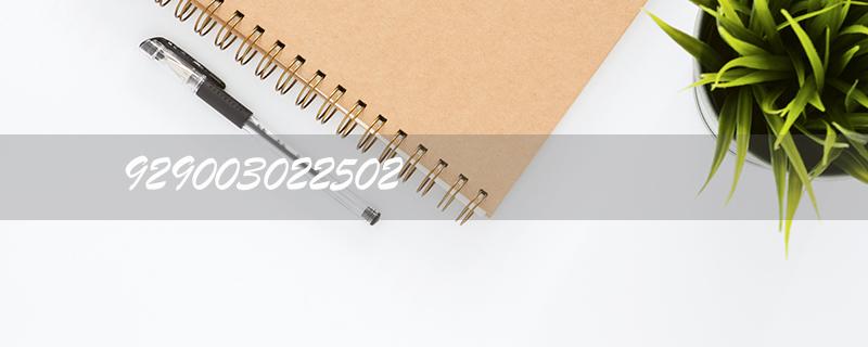 929003022502: Boost Your Website's Visibility with Google's SEO Optimization Techniques