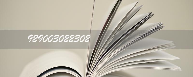 929003022302: Unlocking the Secrets of SEO Optimization for Higher Google Rankings