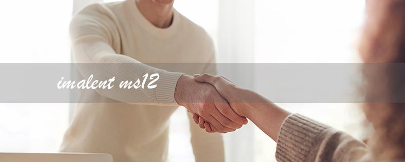 imalent ms12