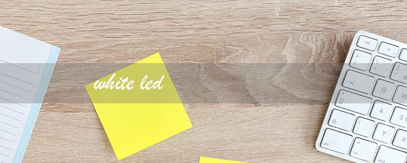 white led（White LED Lights）