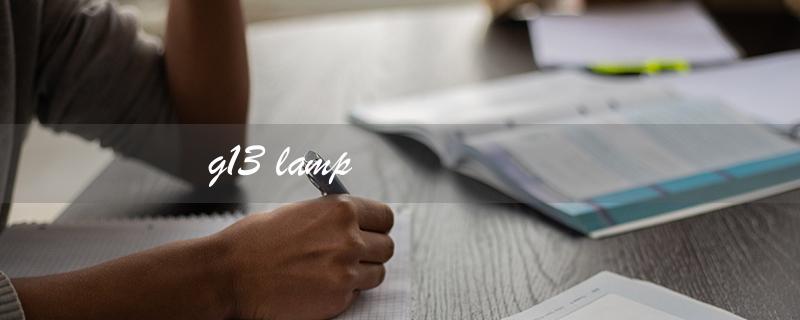 g13 lamp（G13 Lamp Query）