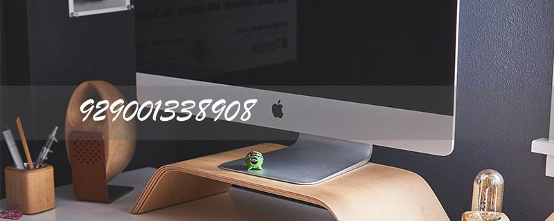 929001338908