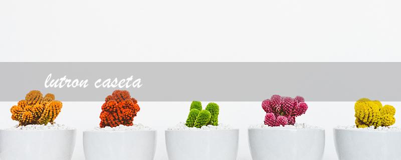 lutron caseta（Lutron Dimmer: Title Word Limit 15 Characters）